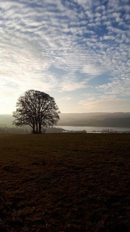 Le Charme Des 2 Lacs Malbuisson Eksteriør bilde
