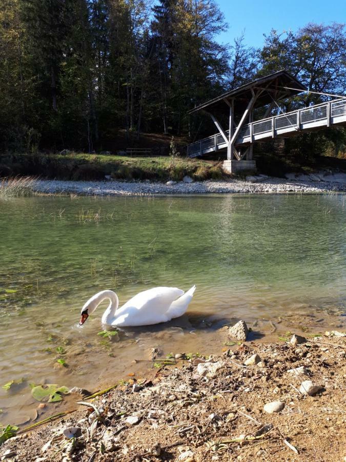Le Charme Des 2 Lacs Malbuisson Eksteriør bilde